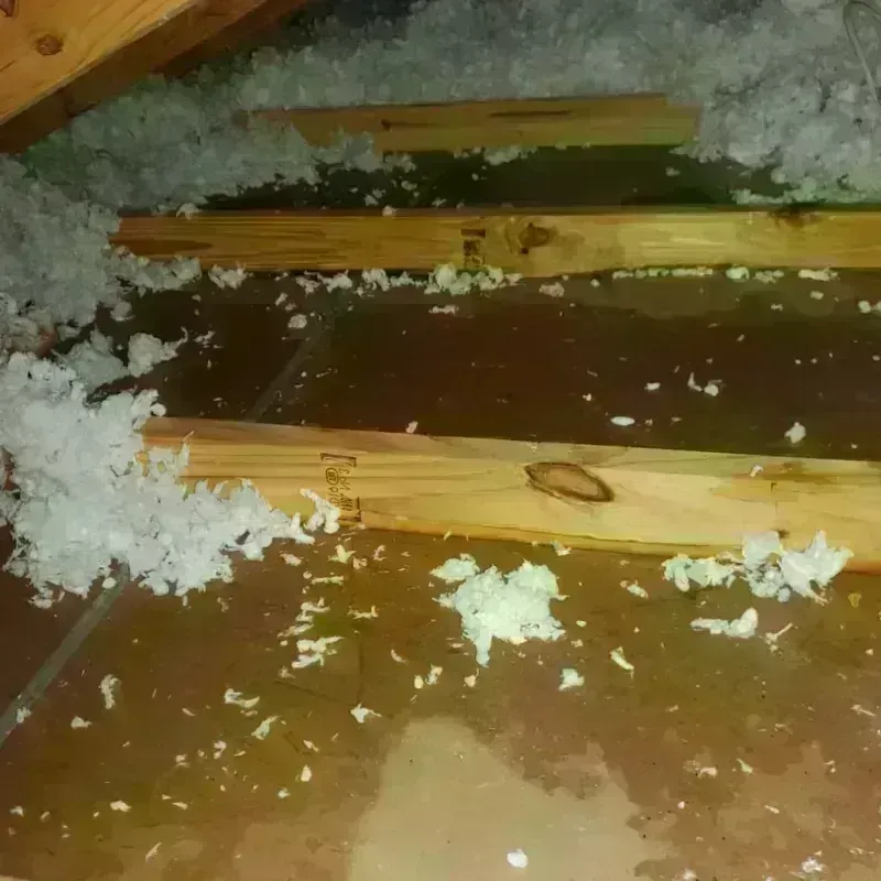 Best Attic Water Damage Service in Monroe County, WV