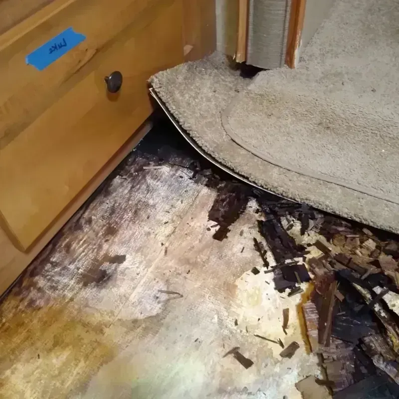 Wood Floor Water Damage in Monroe County, WV